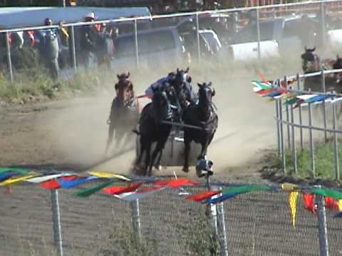 Chariot Race Kikino Rodeo 2009