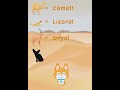 تعلم أسماء حيوانات صحراوية باللغة الإنجليزية 
