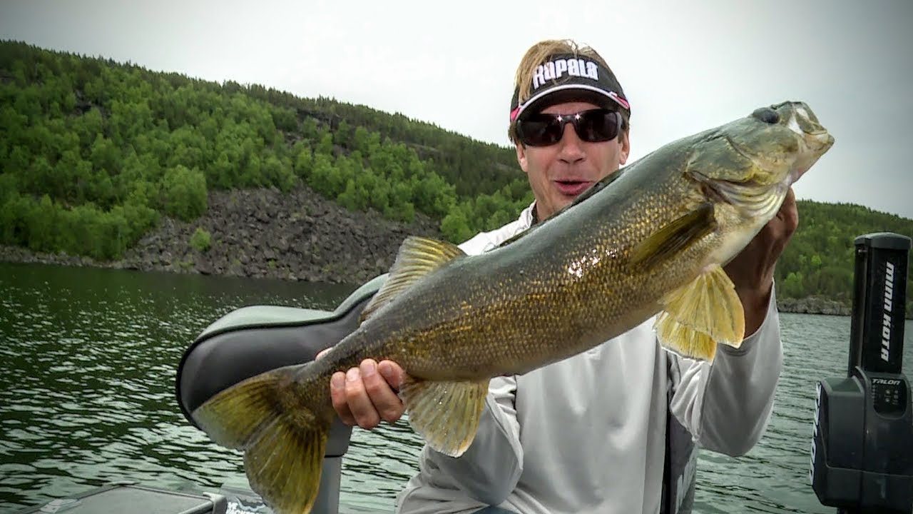 Canadian Walleye Trips (Rod/Reel/Line) YouTube