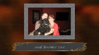 Memory Magic Christmas ECard -  DVD Slideshow