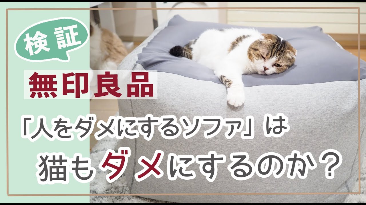 手作り猫ベッド作り方 猫をダメにする猫ベットを作ったらすぐにダメになってしまった猫 スコティッシュフォールド ハンドメイド Youtube