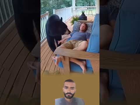 اقترب الدب بحذر من الرجل النائم فلما لمسه ليستيقظ ارتد فزع ا كأنه لم يتوقع أن يتحرك Youtubeshorts