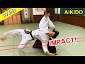 Impact hard aikido techniques