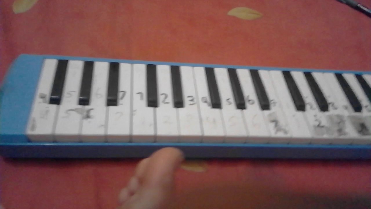 Not Burung Kutilang And Kring 2 Youtube