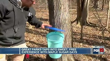 Great Parks taps into sweet, free experience with Maple Sugar Days