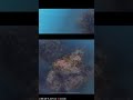 海中カメラプロジェクト再始動 魚皆無だが今後に期待 | #kayakfishinggol (#Twitch)
