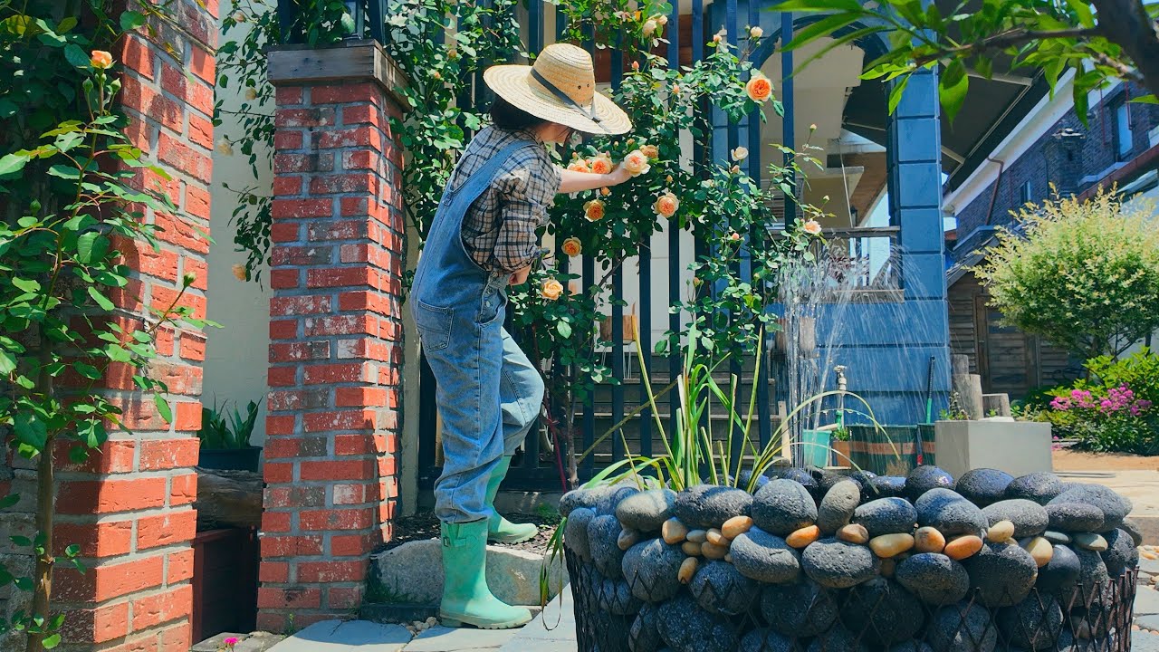 Праздник, слишком прекрасный, чтобы сидеть дома | Мини-пруд в нашем саду ⛲️