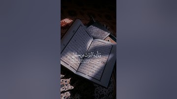 القرآن الكريم #المصحف #الرحمن #القرآن_الكريم #راحة_نفسية #الرَّحِيمِ