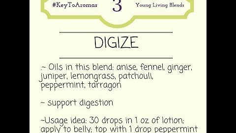 Intro to Essential Oils: DiGize Blend