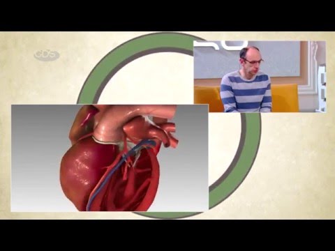 ვიდეო: გულის კამერები შემოსილია ენდომიზიუმით?