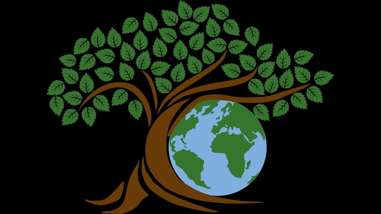 ИНТЕРВЬЮ  ДР. ГУЛЬНАР  & МР. САИД 2020 /  INTERVIEW -  DR.GULNARA &  MR.SAID 2020