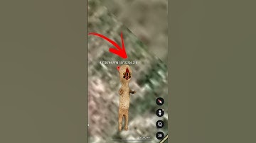 i found SCP 173 on Google maps and Google Earth