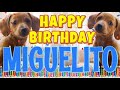 Happy Birthday Miguelito! ( Funny Talking Dogs ) What Is Free On My Birthday