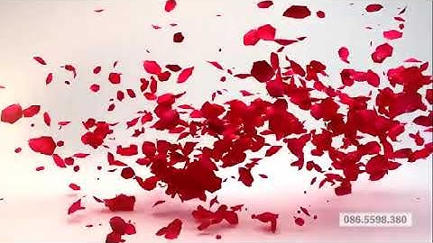 Video Mở Đầu Cho Clip   Tạo INTRO Hoa Hồng   Mã IE032 dSA40q4Fc1w