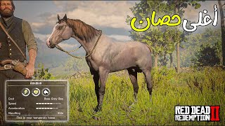 الحصان العربي الوردي الرمادي في لعبة ريد ديد ريدمبشن 2