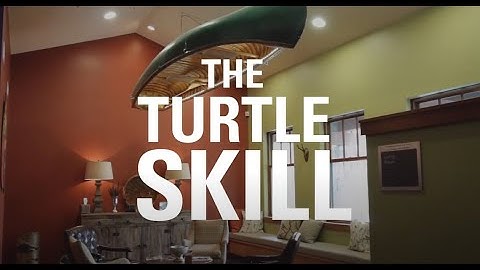 Amberwing DBT Skills: The Turtle Skill