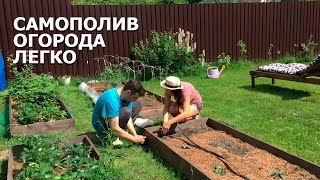 КАПЕЛЬНЫЙ ПОЛИВ | Сделайте это для большого урожая