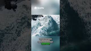 నా తెలుగు తేనె తెలుగు | Telugu Language  Song