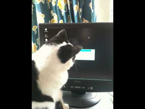 Quita en de computer