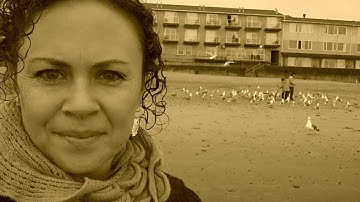 Smallbiz  WP Theme from Expand2Web