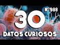 30 DATOS CURIOSOS y COSAS QUE NO SABÍAS ⏰😲 988 #curiomaníatv