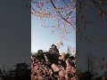CGI - JAPAN