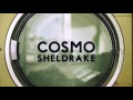 Cosmo Sheldrake - The Moss (demo)