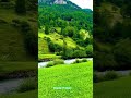 Natural beauty #phonk #anime #music #automobile #lifeisbutadream