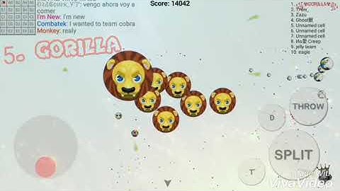 Top 5 Best Blob Players