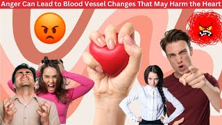 Angers Impact On Heart Health Anger Can Lead To Blood Vessel Changes That May Harm The Heart