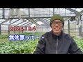 傍聴に行ってきました