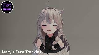 Shinano Jerry's Face Tracking Quest Pro Demo