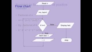 DECISION & LOOP CONTROL STATEMENTS 2