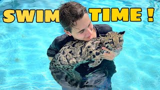 BABY LEOPARD GOES SWIMMING IN THE POOL ! WILL SHE LIKE IT ?!