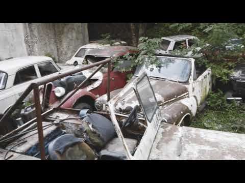 ადამიანმა ყველაფერი იცის და არაფერი არ იცის  - გია ჯაჯანიძე