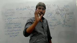 मादा जनन तंत्र C13P6 ras science video-मादा जनन अंग की संरचना एवं कार्य Guide