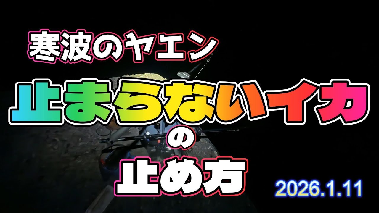 【ヤエン】止まらないイカの止め方【アオリイカ】