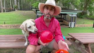 Farm Dog Review of the KONG Jumbler Ball