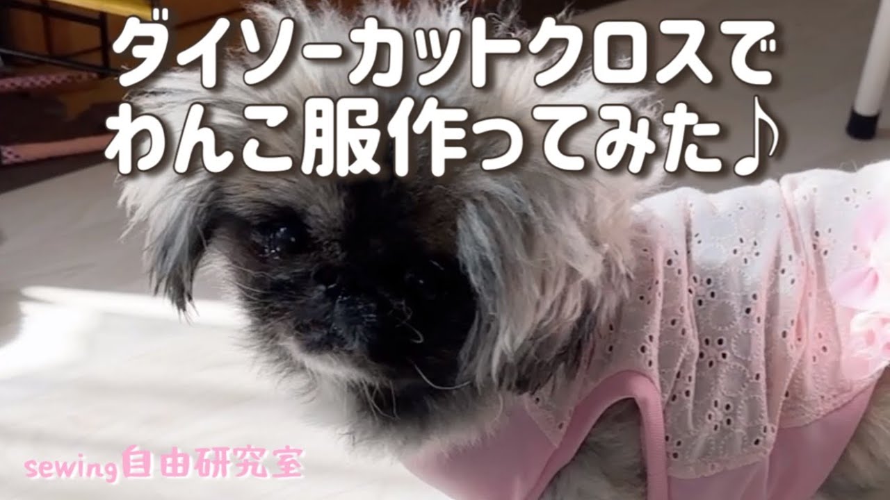 【わんこ服】材料費330円！ダイソーカットクロスで作るgirlyなワンピ風Tシャツ