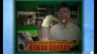 SAPI QURBAN SABBIHISMA IKLAN PADANG  TV 2013