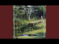 Miniature de la vidéo de la chanson Piano Concerto In C Minor, Op. 12: I. Allegro. Maestoso - Allegro Deciso