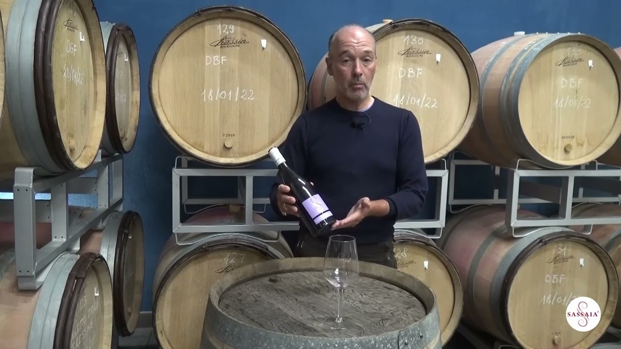 SASSAIA Dolcetto - EN