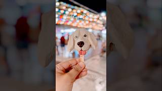 Real Dog Icecream