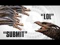 What if Rodan didn't bow to Ghidorah?