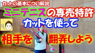 ミニテニスの専売特許！基本的なカットの打ち方。カットで相手を翻弄して隙を作ろう！【ミニテニス】
