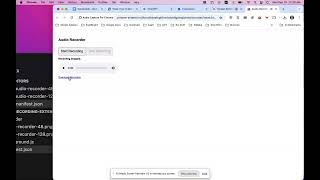 Audio Capture For Chrome Extension Demo