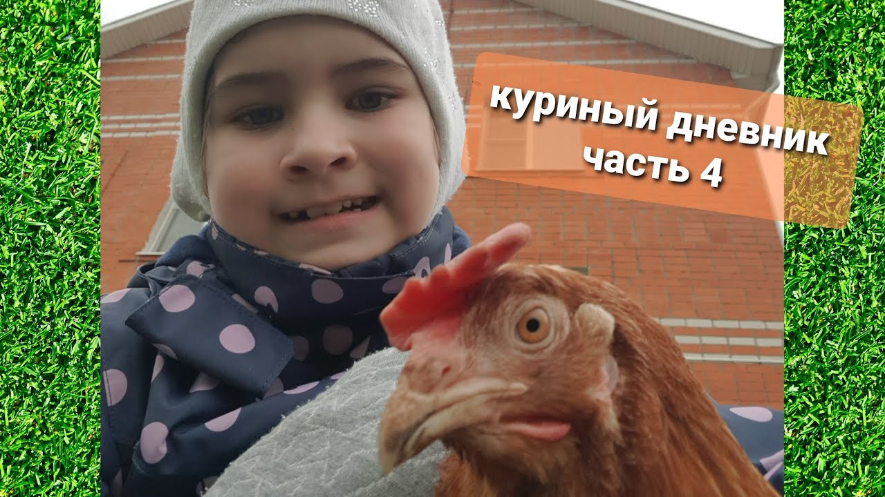Куриный дневник часть 4 | Влог одной курицы - YouTube