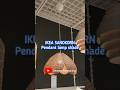 Ikea SANDKORN new pendant lamp shade 2026