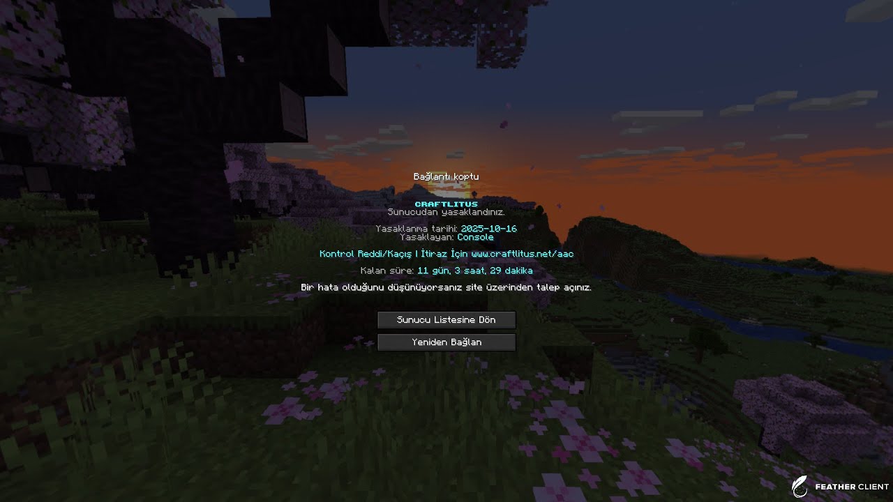 Craftlitus Banlanmalı R4pe (3xKES7 11xELİTRA 2xV30 ) Şam-Makossa/(İNFAZ)