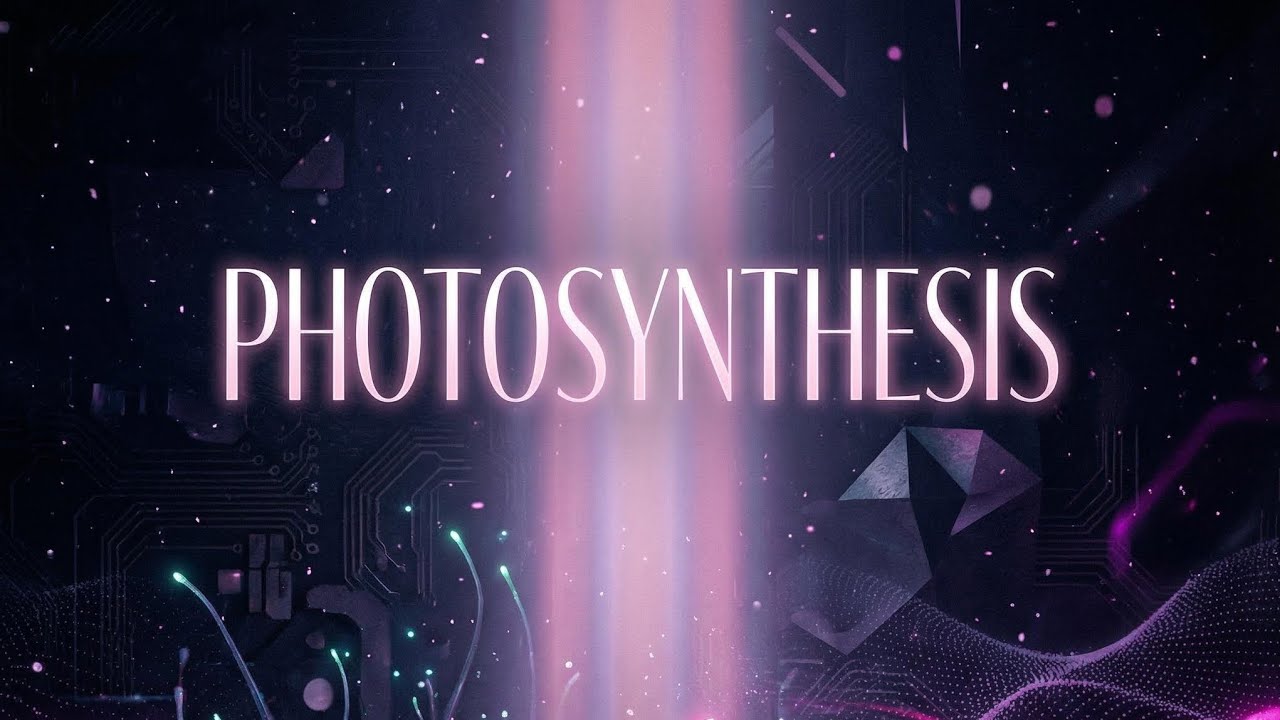 Bluehaven – The Way We Collide (Official Audio)